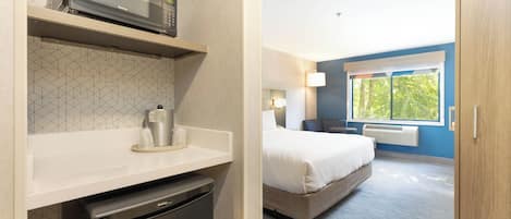 A hotel room with a microwave, a small refrigerator, a bed, a bedside table, a window with a view, and a wall-mounted heater.