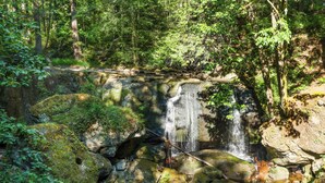 A waterfall cascading over moss-covered rocks in a forested area.