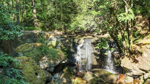 A waterfall cascading over moss-covered rocks in a forested area. - Holiday Inn Express Bellingham by IHG (Bellingham)