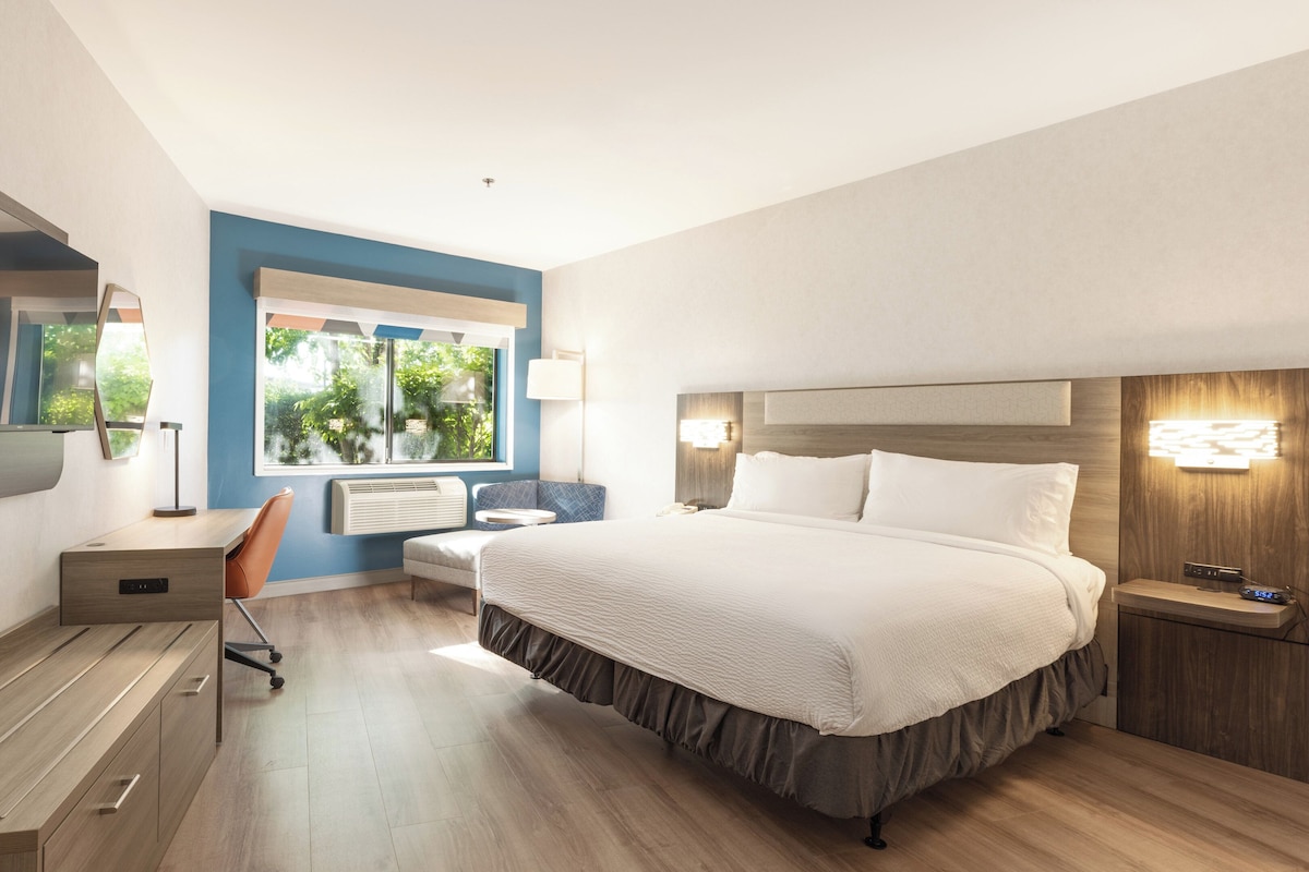 A modern hotel room with a large bed, a desk, a chair, a TV, and a window with a view of trees.