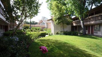 A courtyard with a lawn, a rose bush, and buildings with balconies.