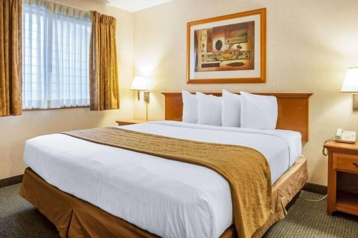 A hotel room with a large bed, two bedside lamps, a painting on the wall, and a window with curtains.