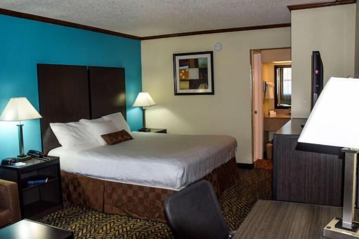 Une chambre d’hôtel comprenant un lit, deux tables de chevet avec des lampes, un bureau avec une chaise, un miroir et une moquette à motifs.