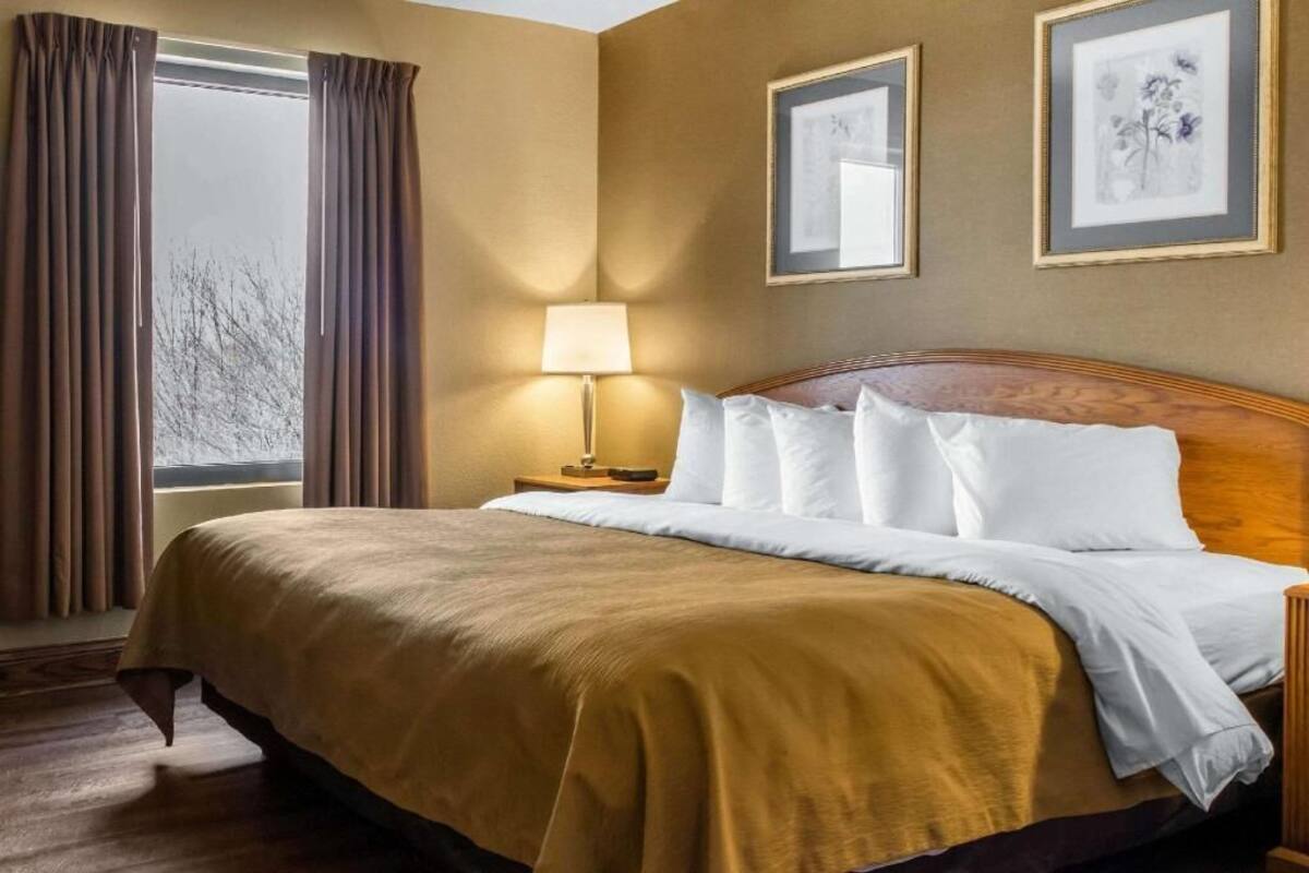 Una habitación de hotel con una cama grande, una mesita de noche con lámpara y cuadros en la pared.
