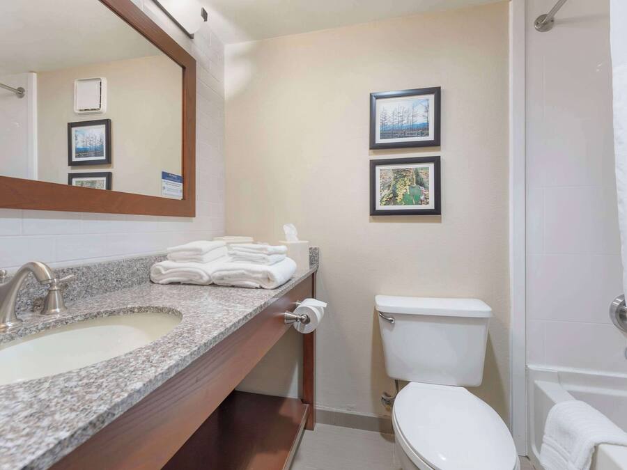 A bathroom with a granite sink, white toilet, and a shower curtain.
