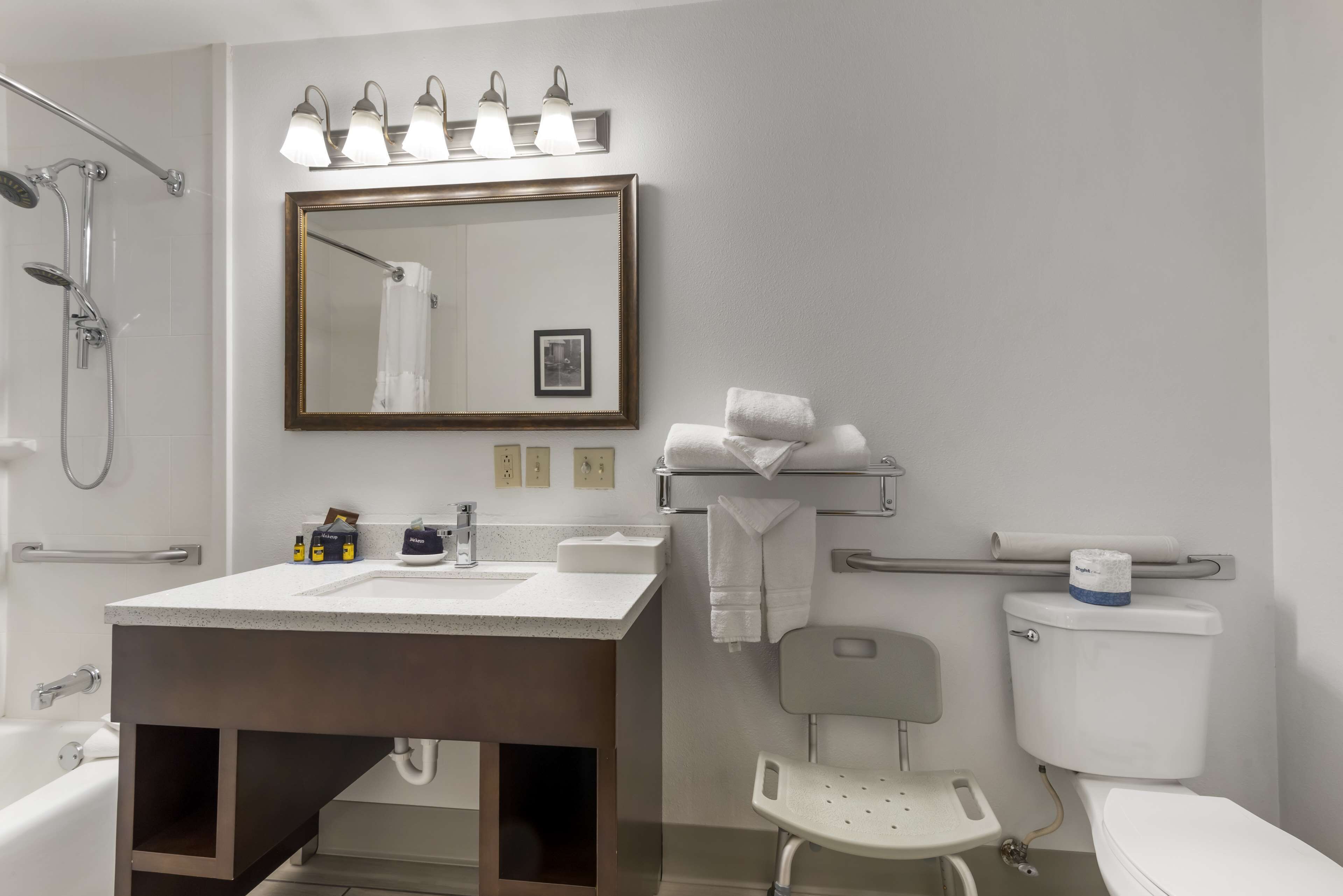 standard room, 1 king bed, accessible, non smoking (bathtub) | bathroom | combined shower/bathtub, free toiletries, hair dryer, towels