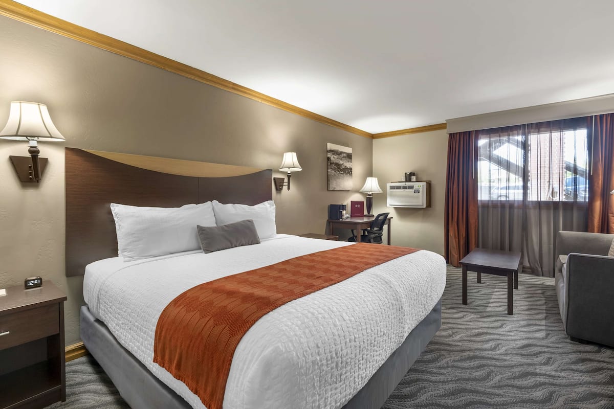 Standard Room, 1 King Bed, Non Smoking, Refrigerator & Microwave (Walk-in Shower;with Sofabed) | In-room safe, individually decorated, individually furnished, desk