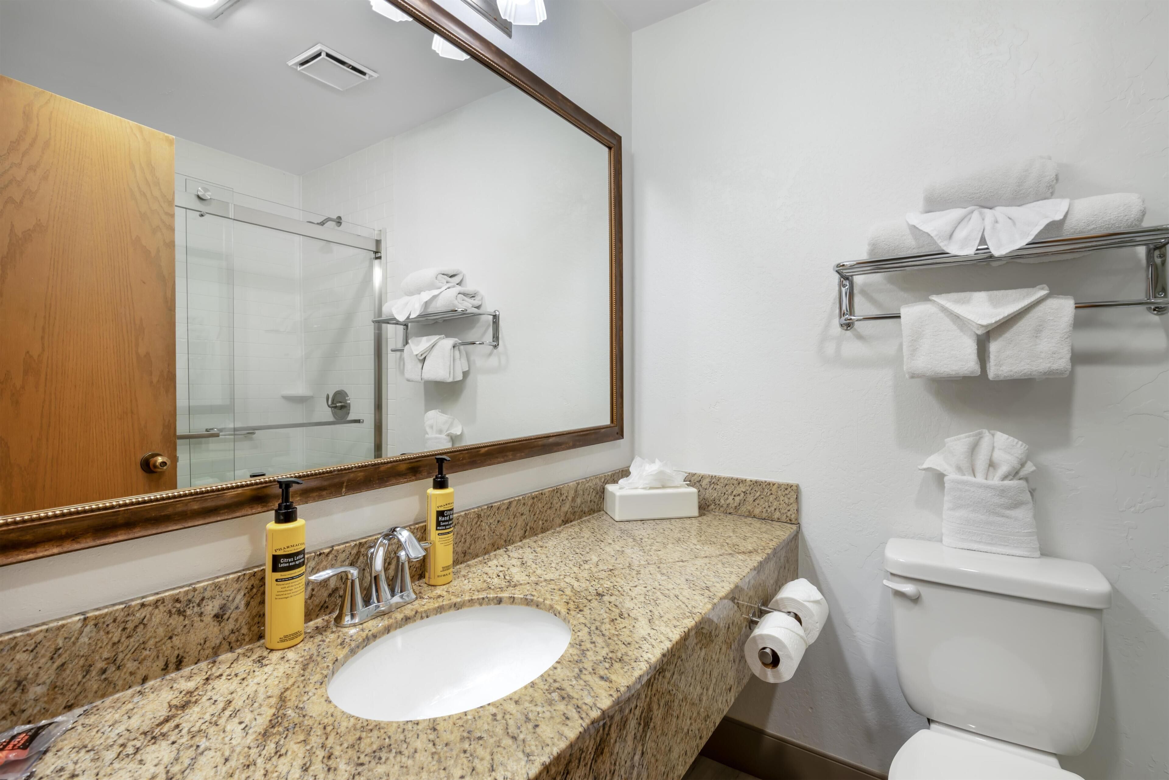 Une salle de bain avec un comptoir en granit, un lavabo, un miroir, un porte-serviettes et des toilettes.