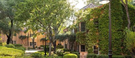 A courtyard with a pathway, a small tree, and a building with ivy-covered walls.