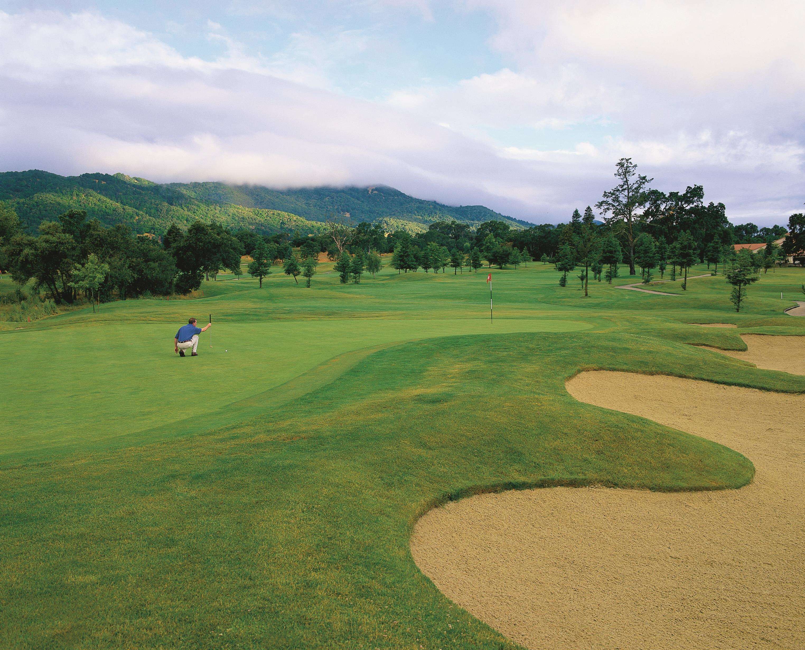 A golf course with a flagstick, sand bunkers, and trees.