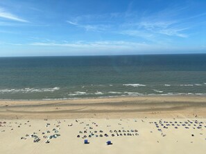 Panoramic Studio Suite | Beach/ocean view