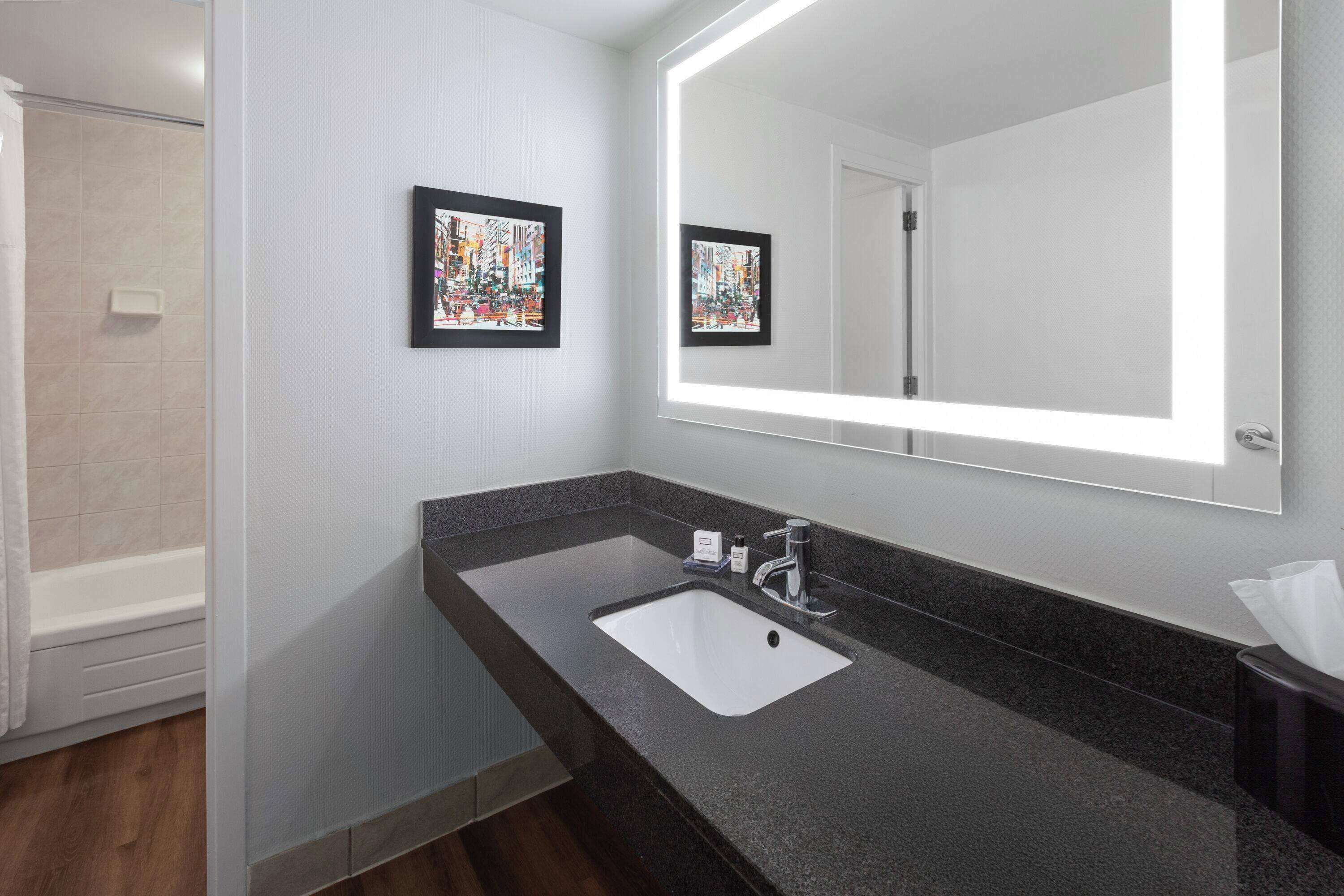 Een moderne badkamer met een donker granieten aanrecht, een witte wastafel, een grote spiegel met ingebouwde verlichting en twee ingelijste kunstwerken aan de muur.