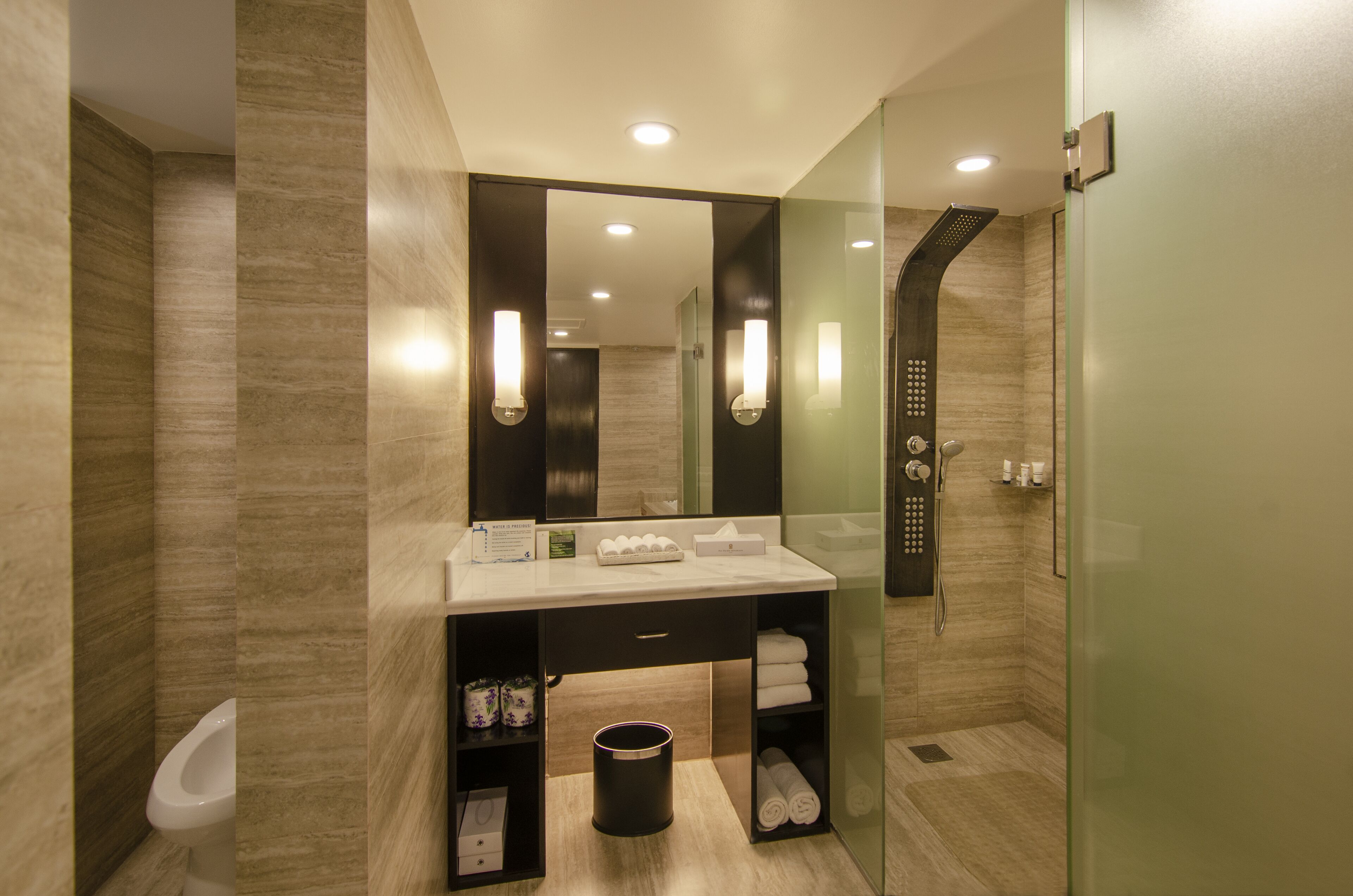 combined shower/bathtub, free toiletries, hair dryer, bathrobes