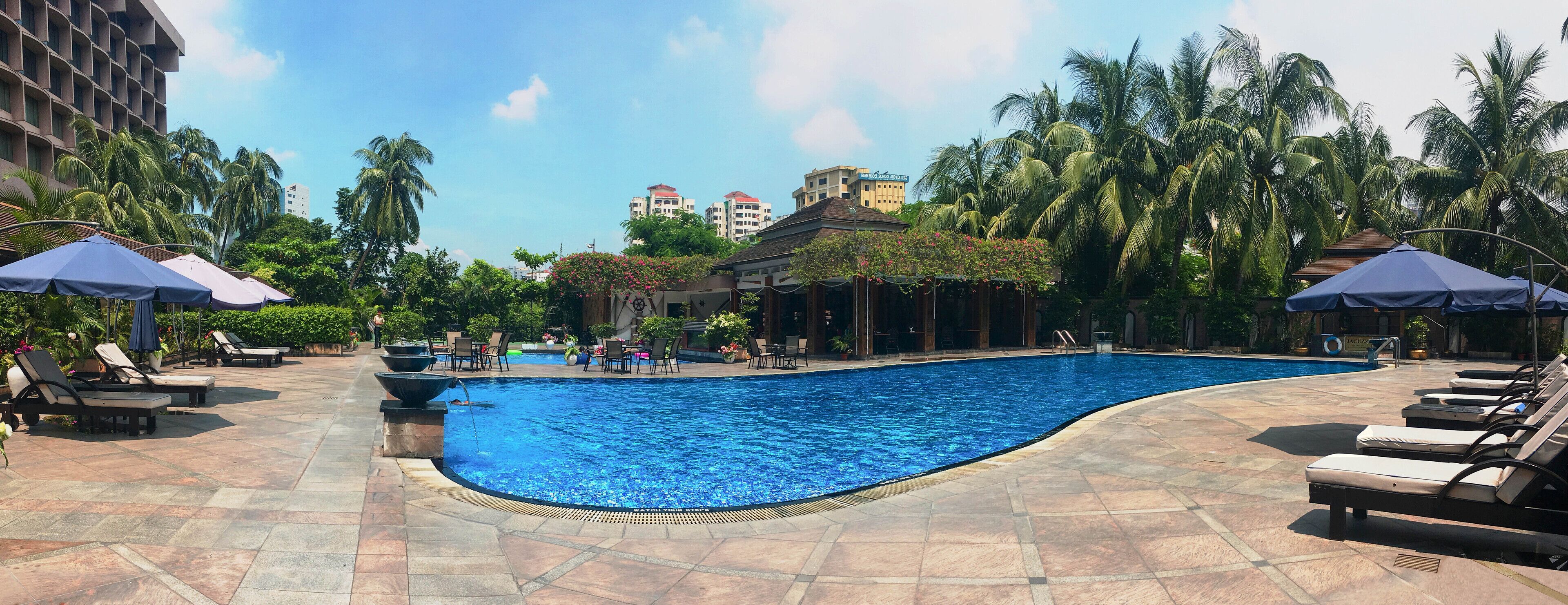 Una piscina con sillas de descanso y sombrillas, rodeada de palmeras y edificios.