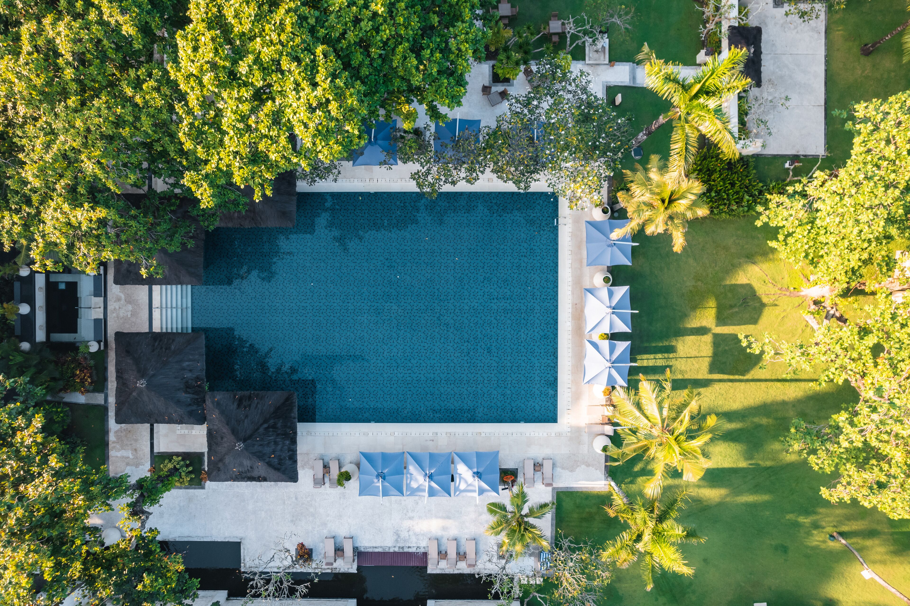 An aerial view of a rectangular swimming pool surrounded by palm trees and lounge chairs.