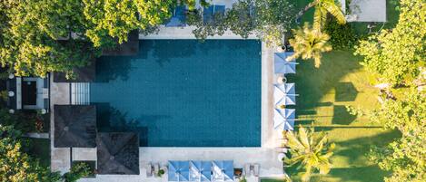 An aerial view of a rectangular swimming pool surrounded by palm trees and lounge chairs.