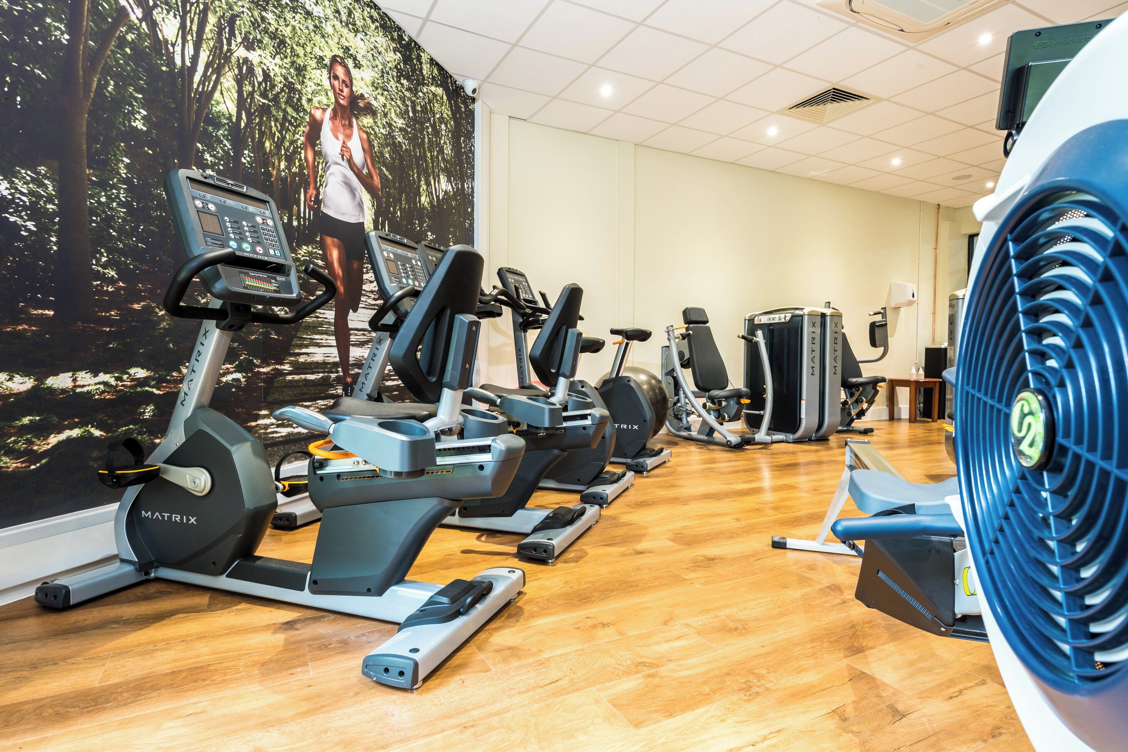 A gym with multiple exercise machines, a large mural, and a wooden floor.