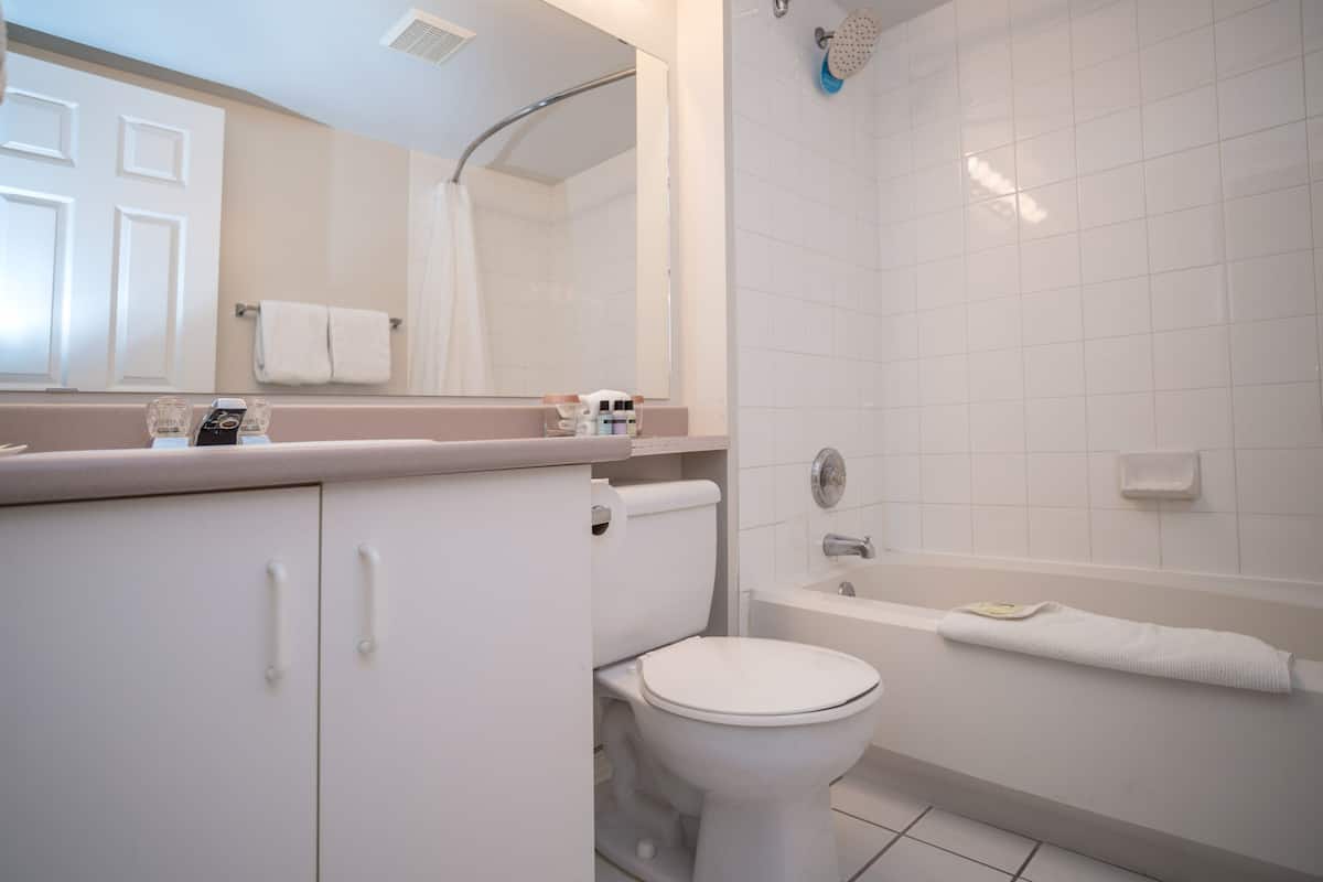 Tina con regadera, amenidades de baño gratuitas, secadora de cabello