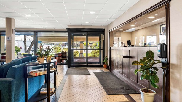 A hotel lobby with a blue sofa, a reception desk, a potted plant, and a view of the outdoors.