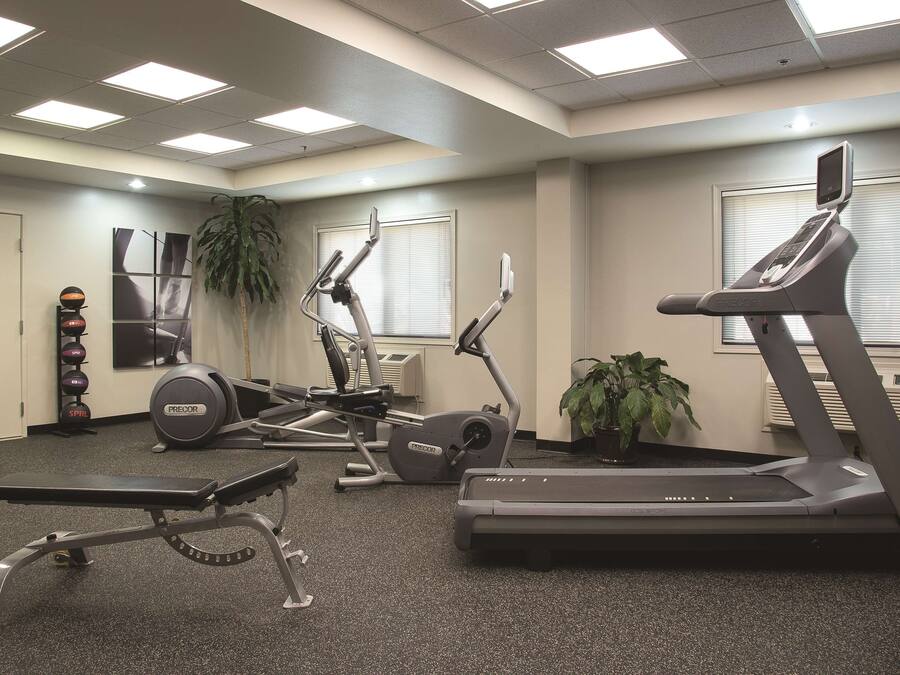 A gym with treadmills, a bench press, and a stationary bike.