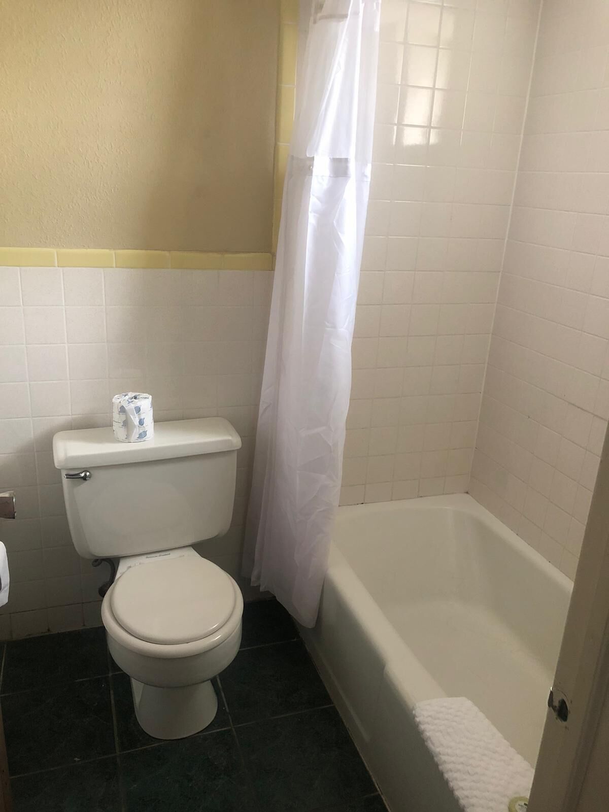 Et badeværelse med toilet, badekar og bruseforhæng.