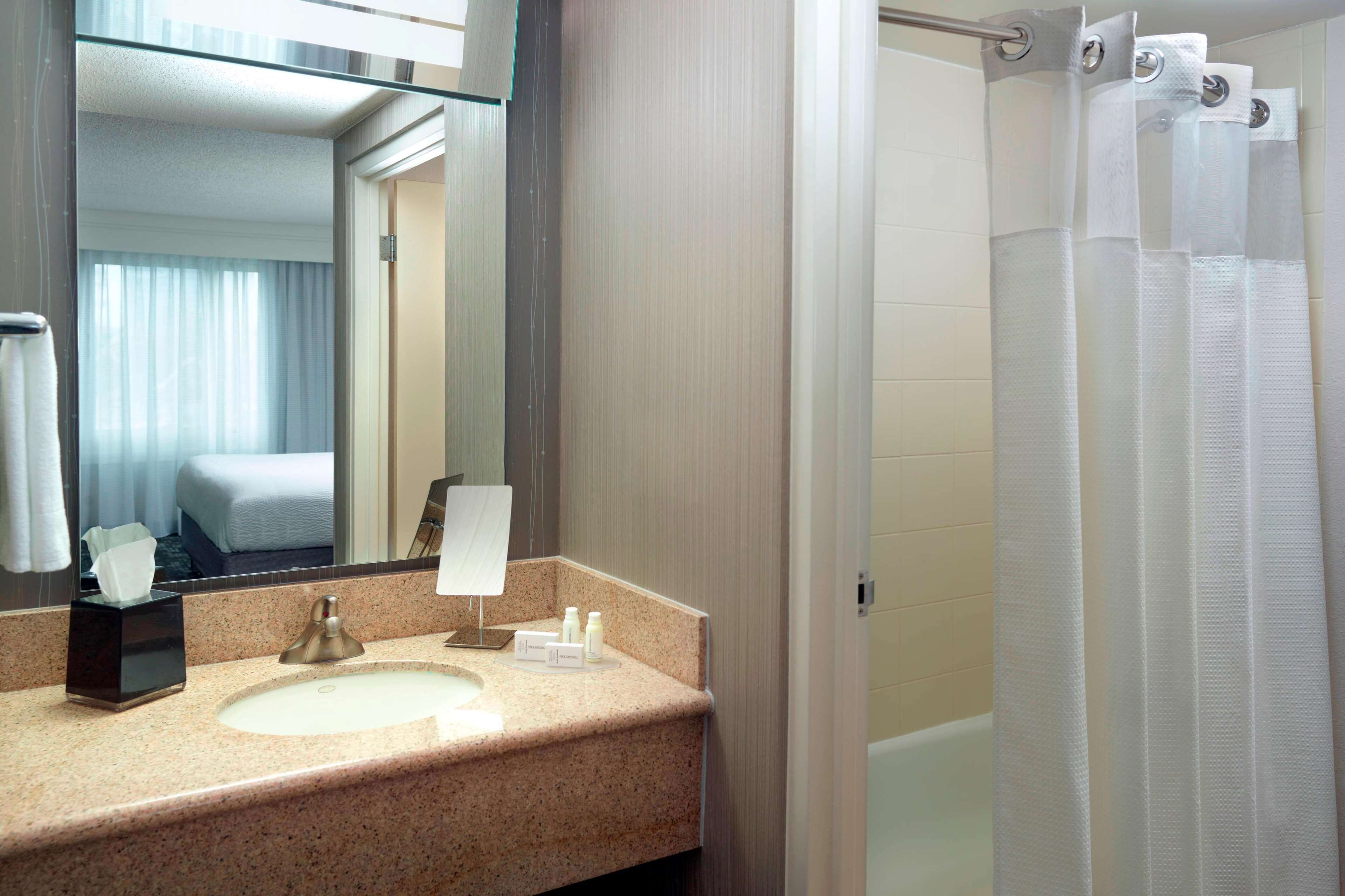 A hotel bathroom with a sink, mirror, and shower curtain.