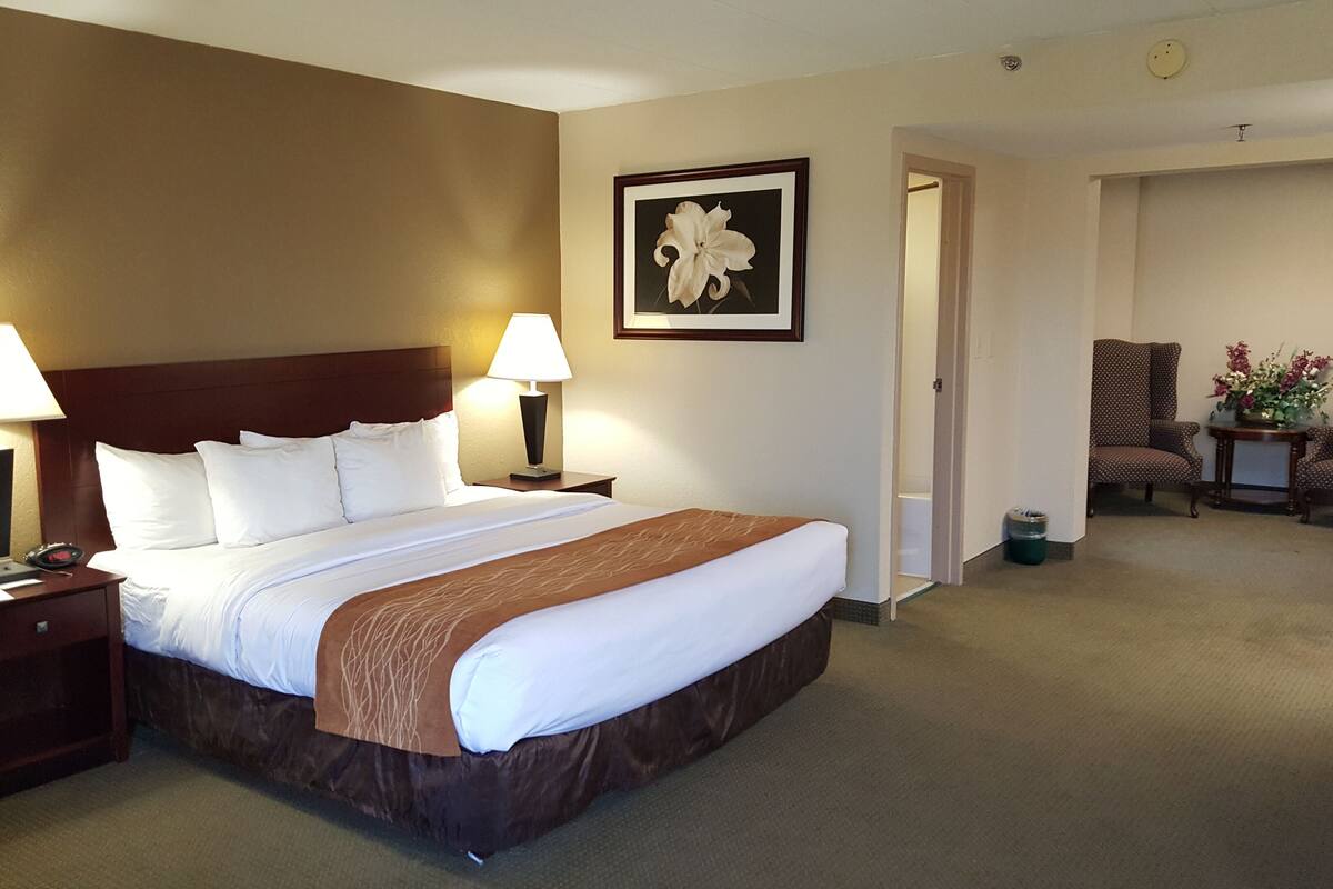 A hotel room with a large bed, two bedside lamps, a telephone, and a framed picture on the wall.