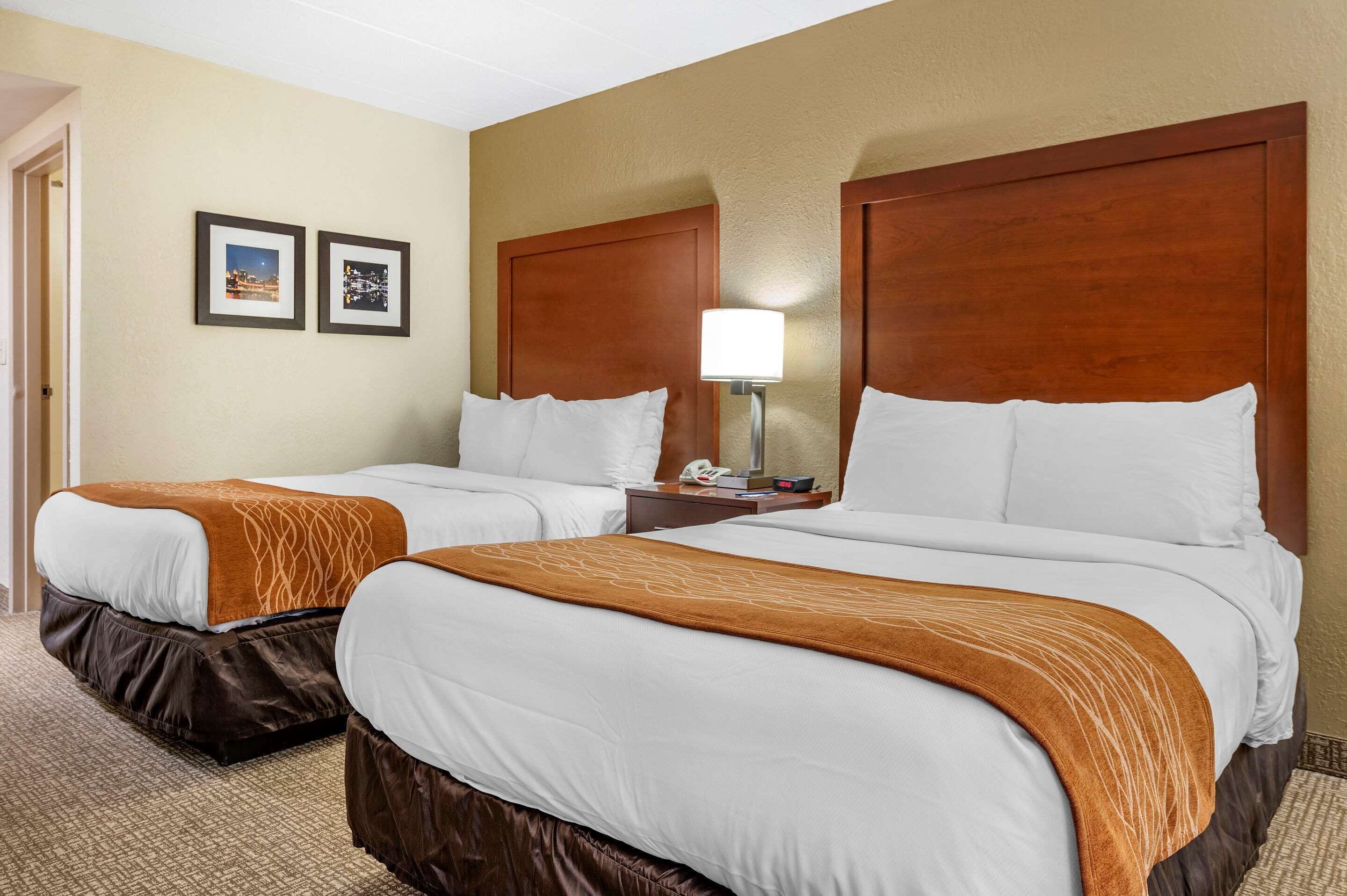 standard double room, 2 double beds, non smoking | desk, laptop workspace, iron/ironing board, free wifi