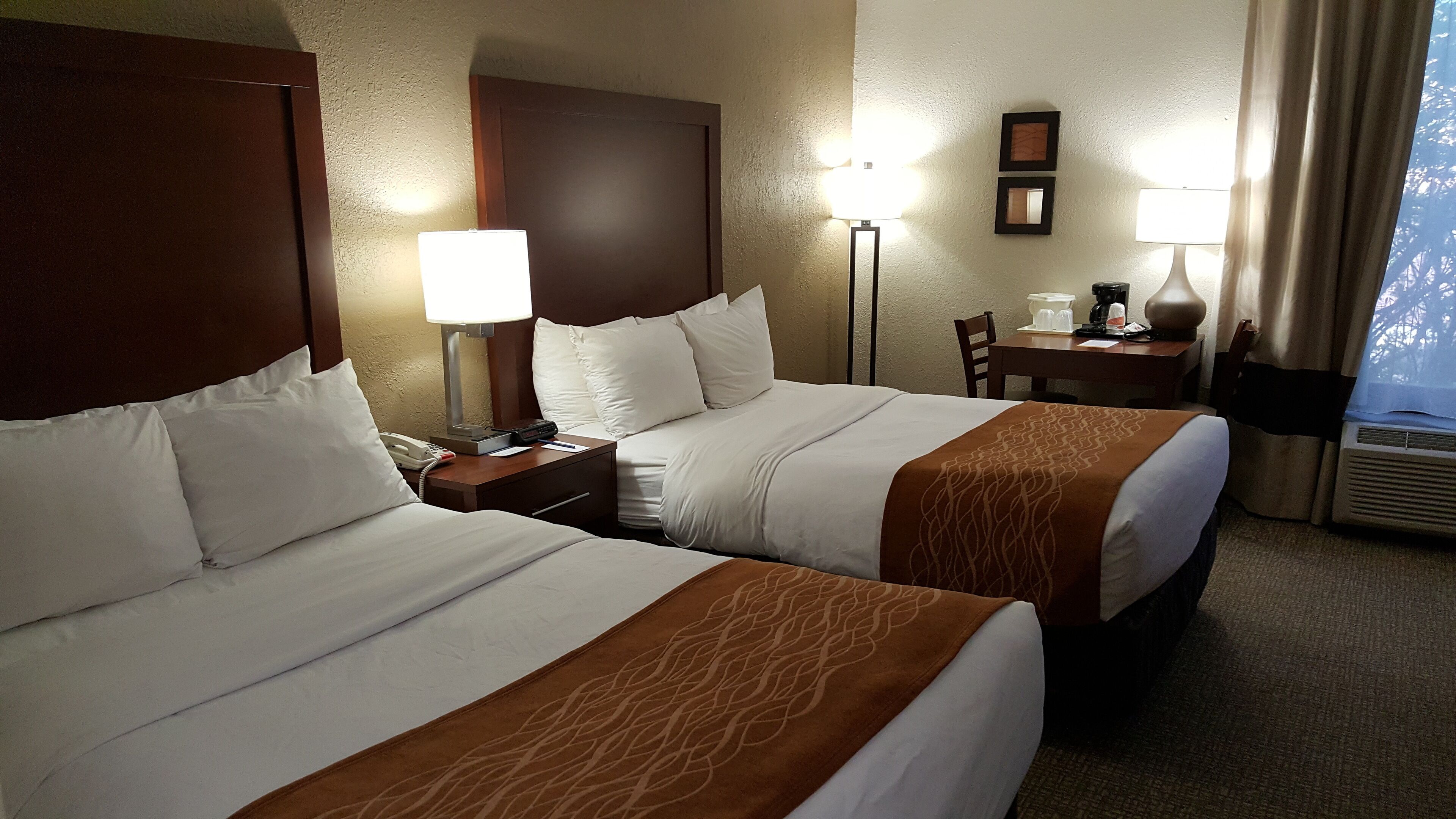 standard double room, 2 double beds, non smoking | desk, laptop workspace, iron/ironing board, free wifi