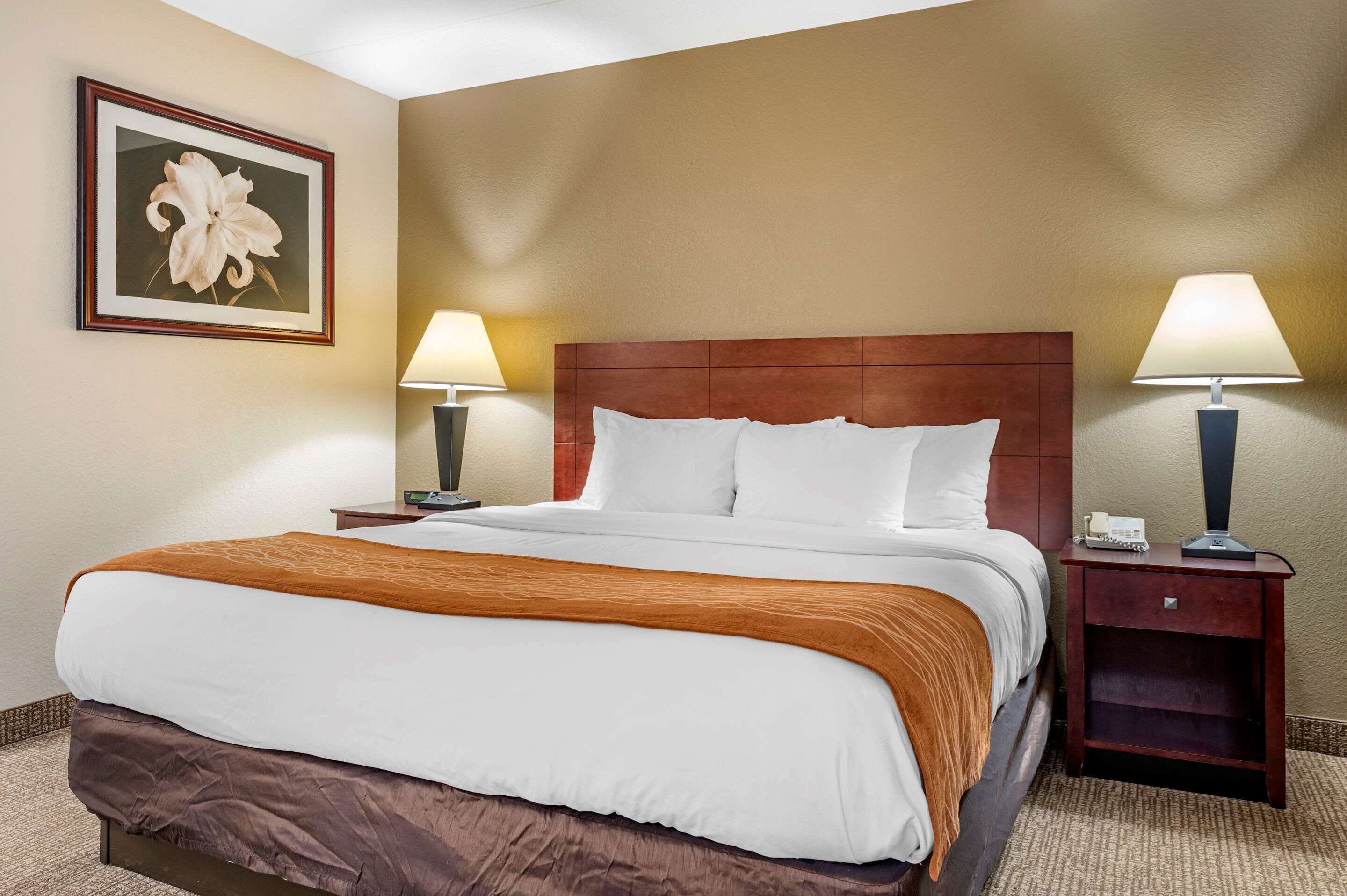 standard room, 1 king bed, non smoking | desk, laptop workspace, iron/ironing board, free wifi