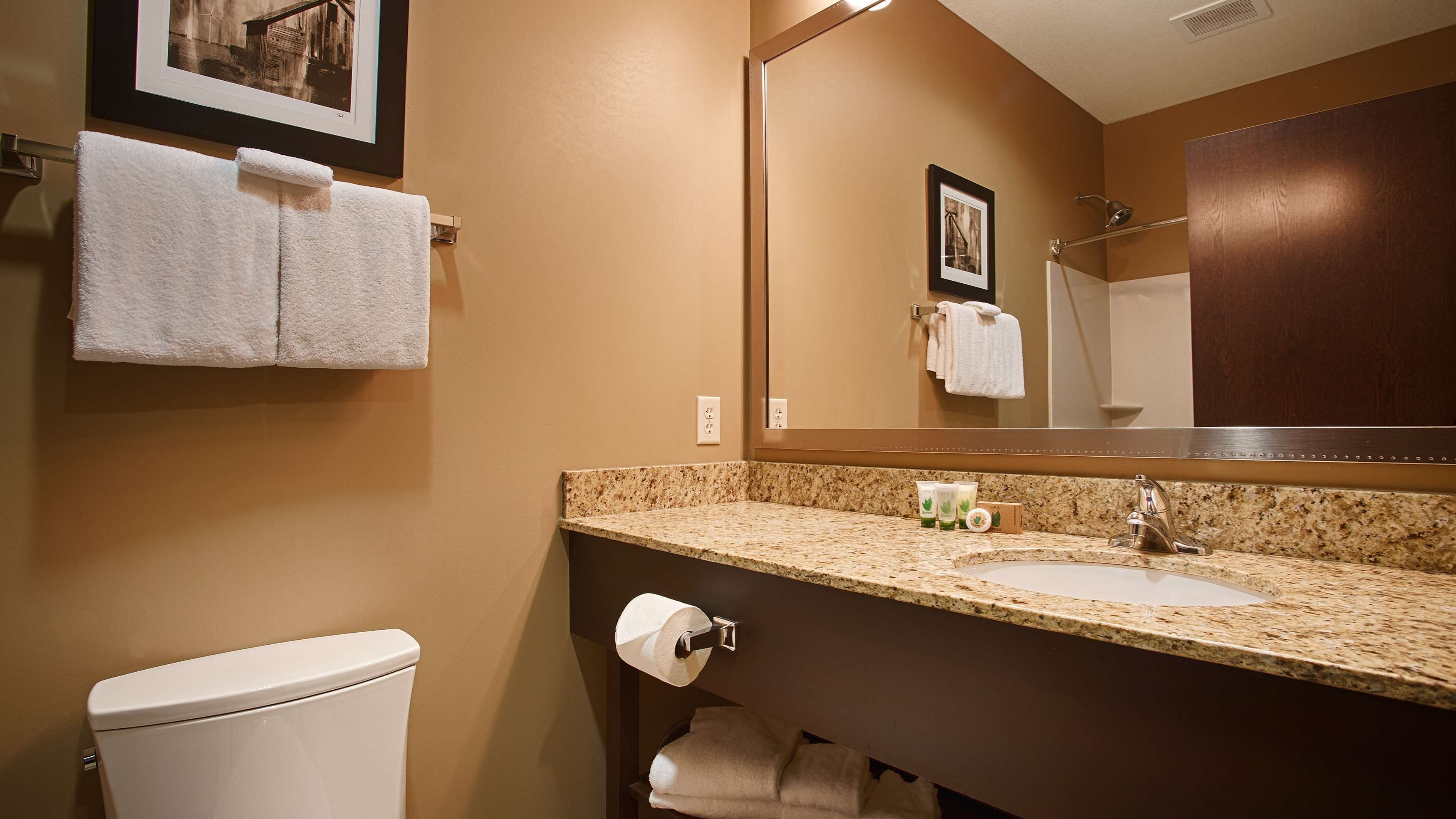 combined shower/bathtub, free toiletries, hair dryer, towels