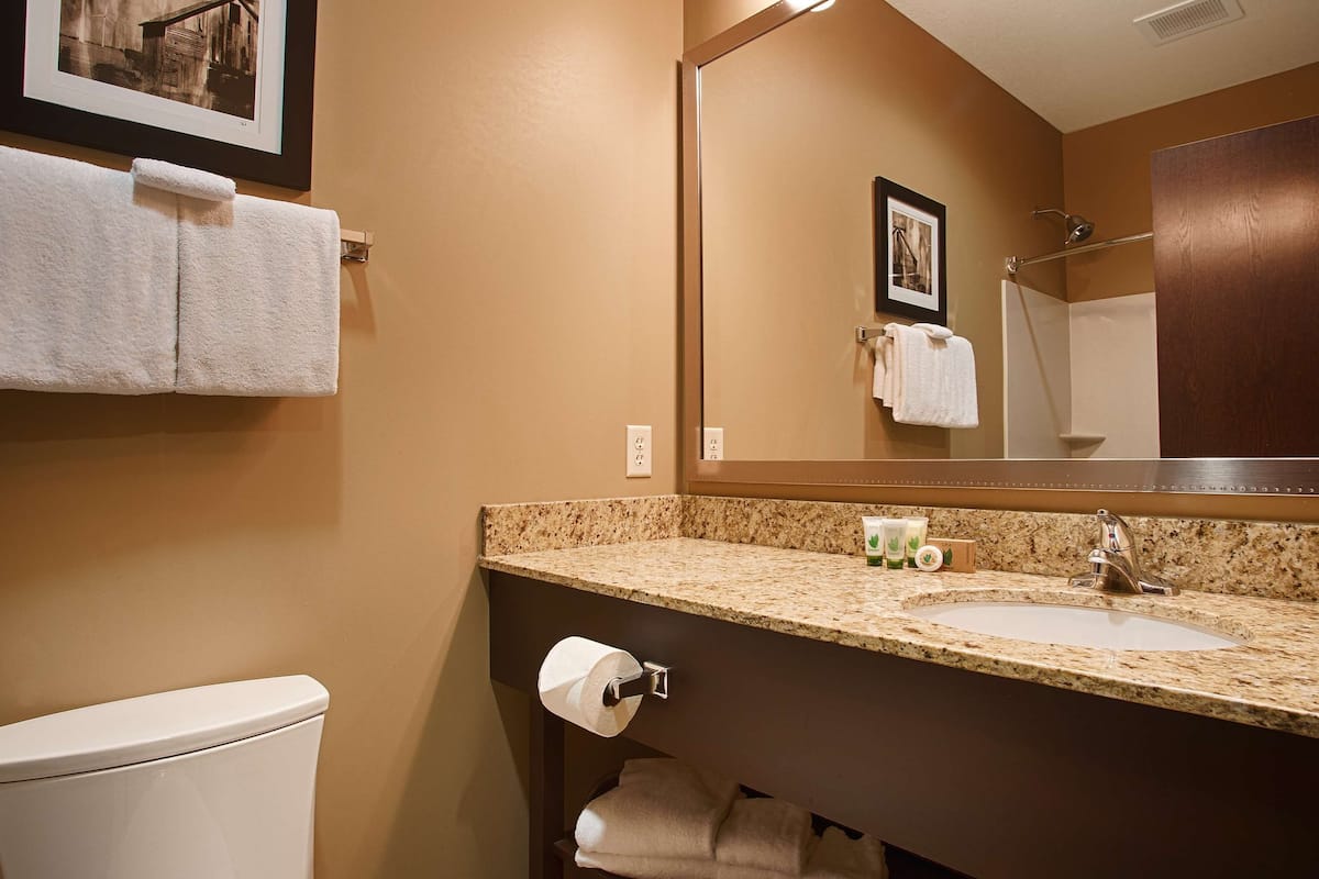 combined shower/bathtub, free toiletries, hair dryer, towels