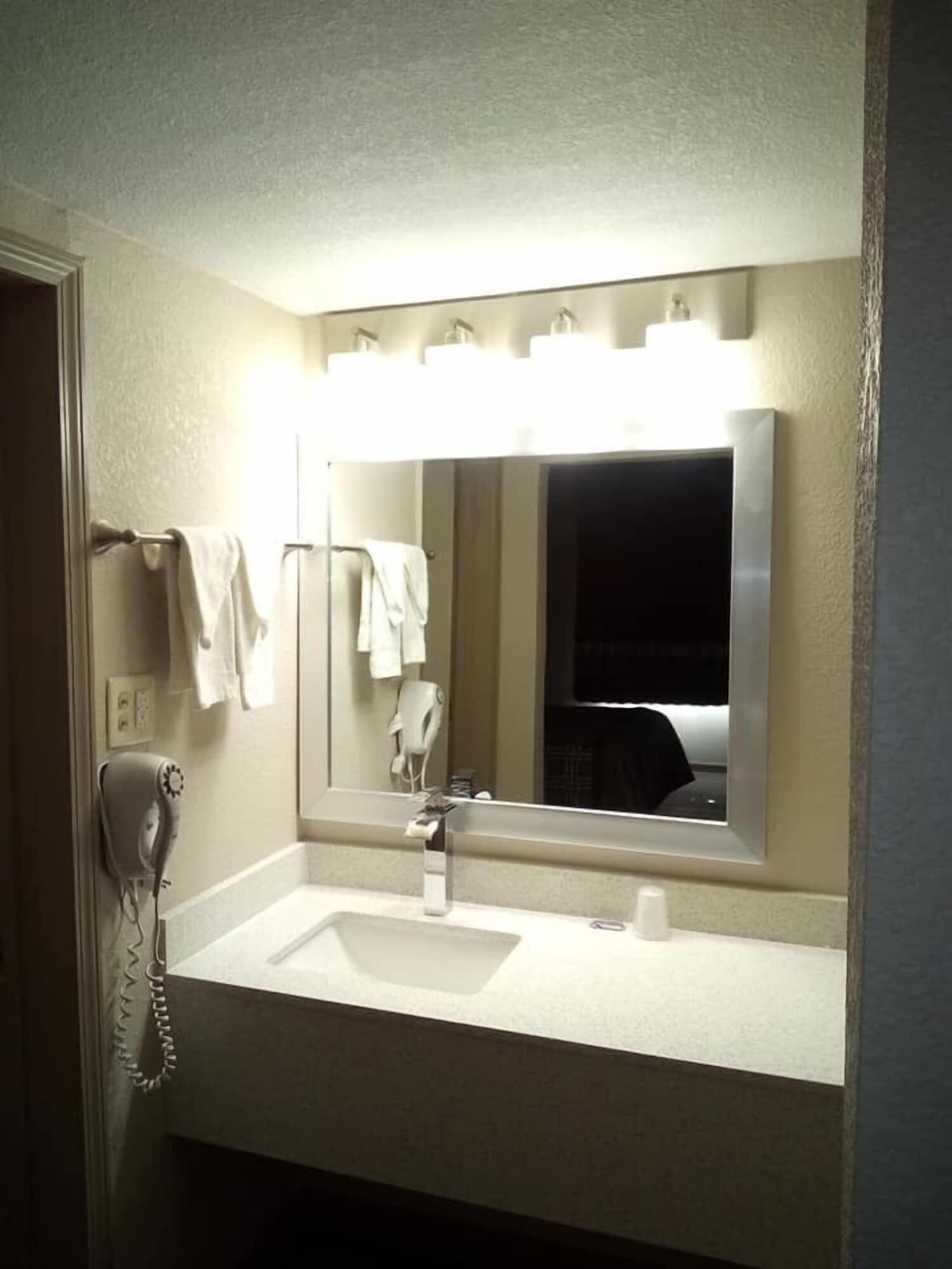 A bathroom with a sink, mirror, and hairdryer.