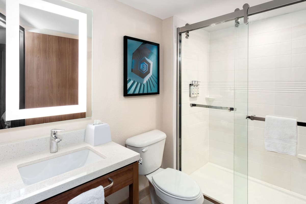 Hair dryer, towels, soap, shampoo