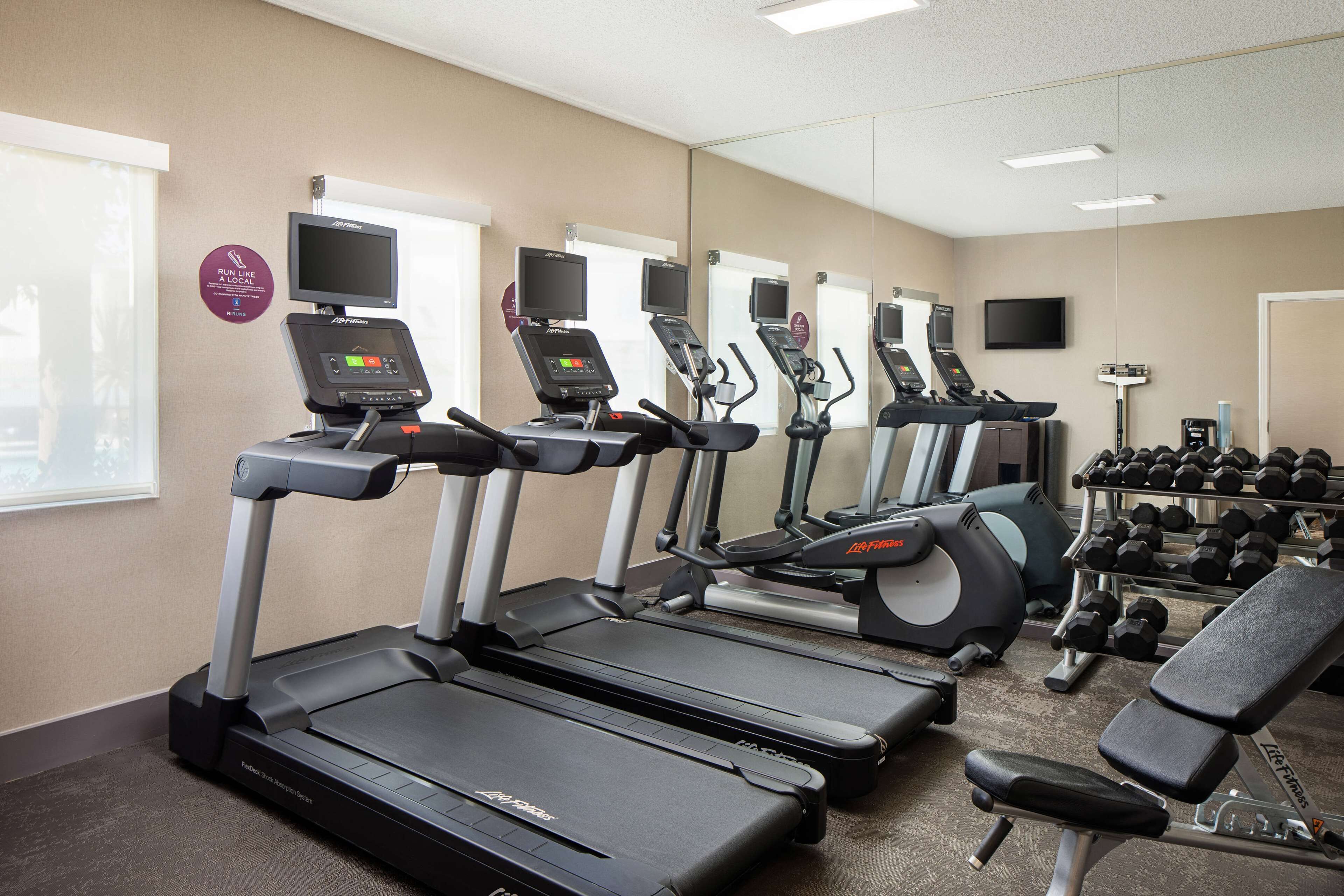 A gym with treadmills, a weight bench, and dumbbells.