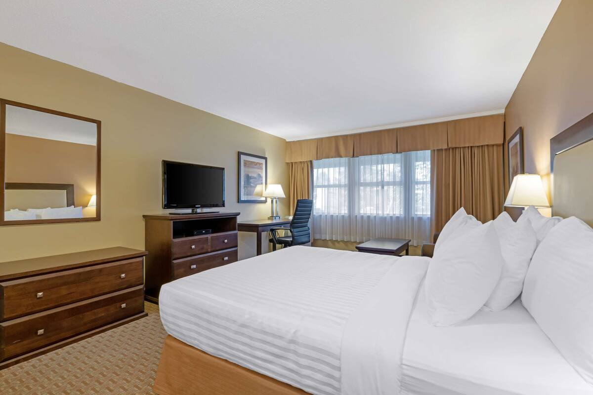 A hotel room with a large bed, a desk, a chair, a television, and a window with curtains.