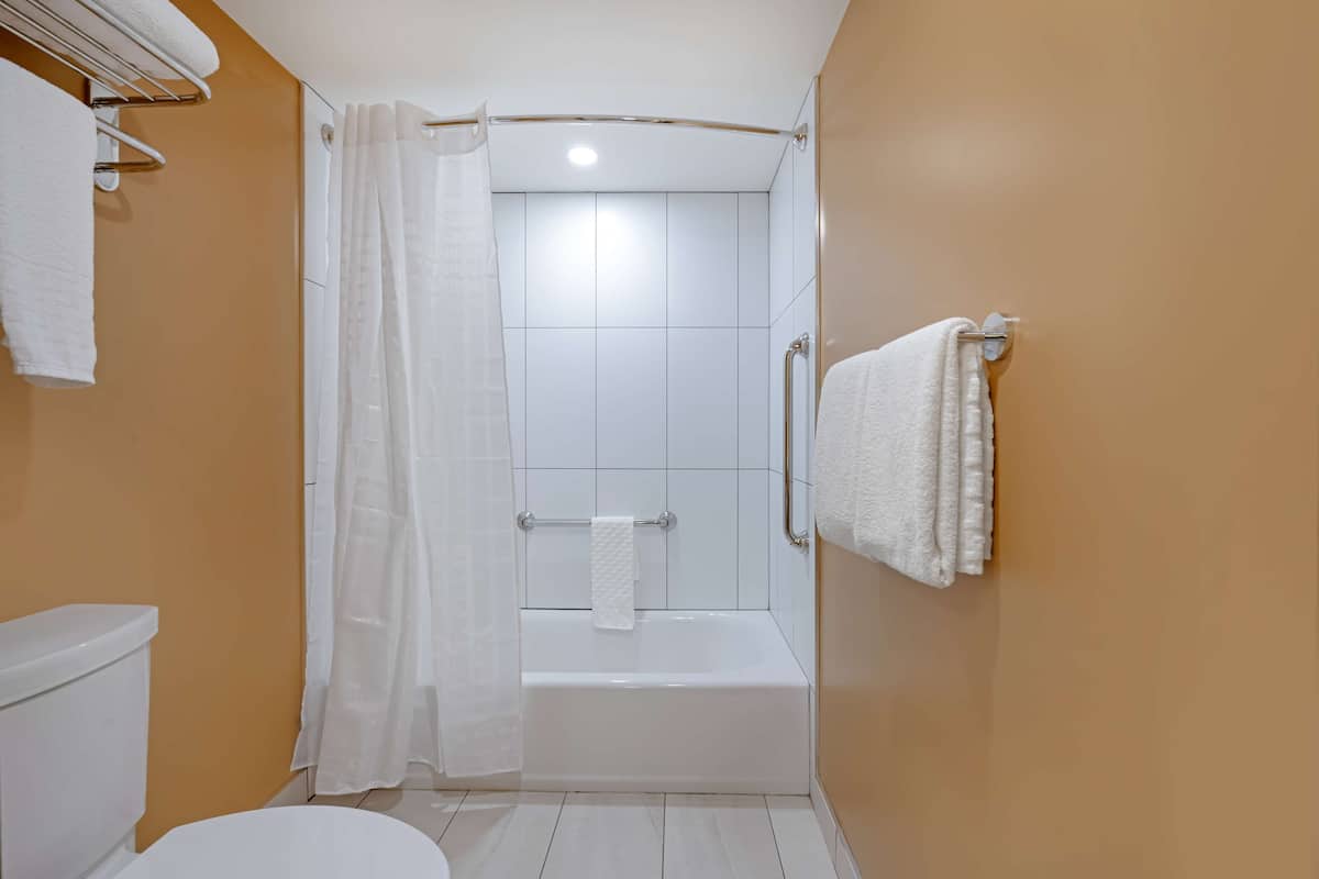 combined shower/bathtub, free toiletries, hair dryer, towels