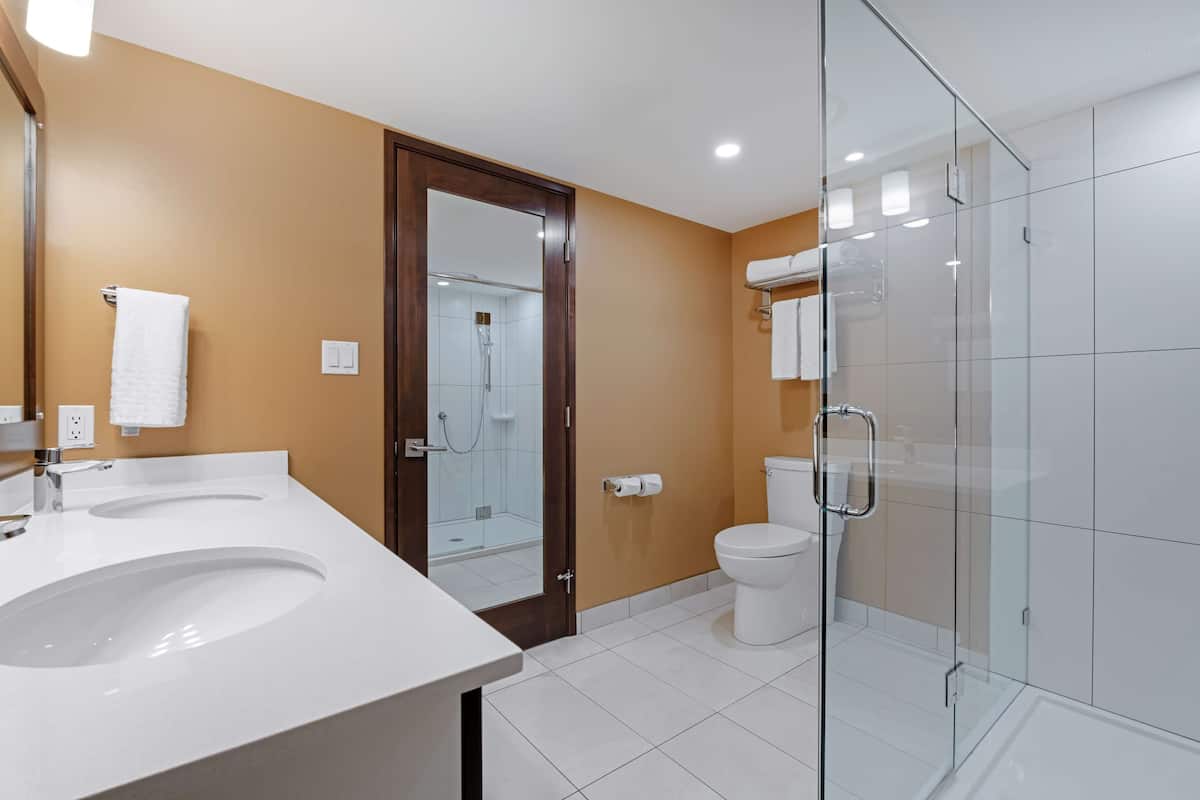 combined shower/bathtub, free toiletries, hair dryer, towels