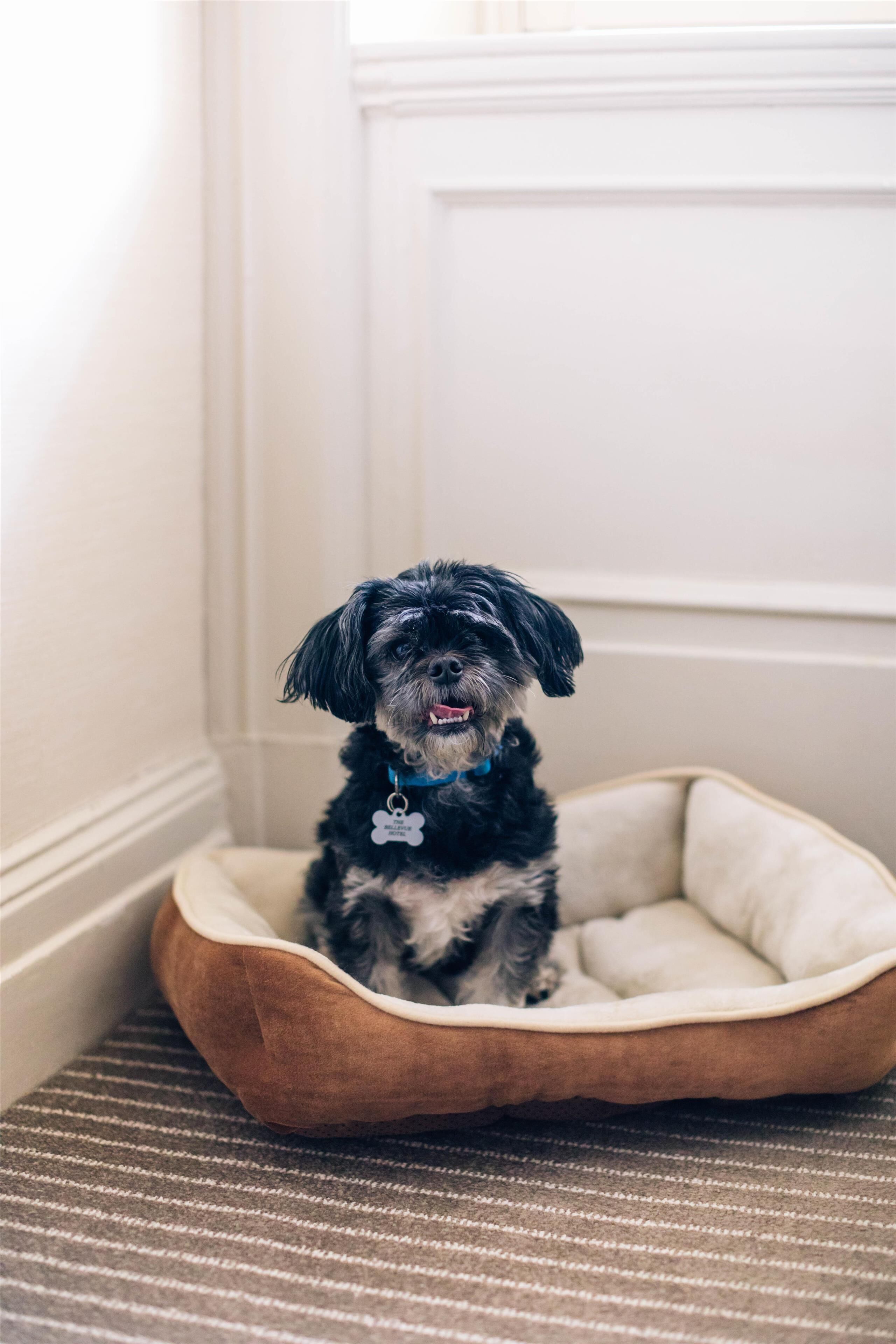 1 bedroom, premium bedding, pillow-top beds, minibar