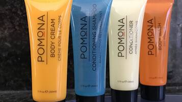 Free toiletries, hair dryer, towels