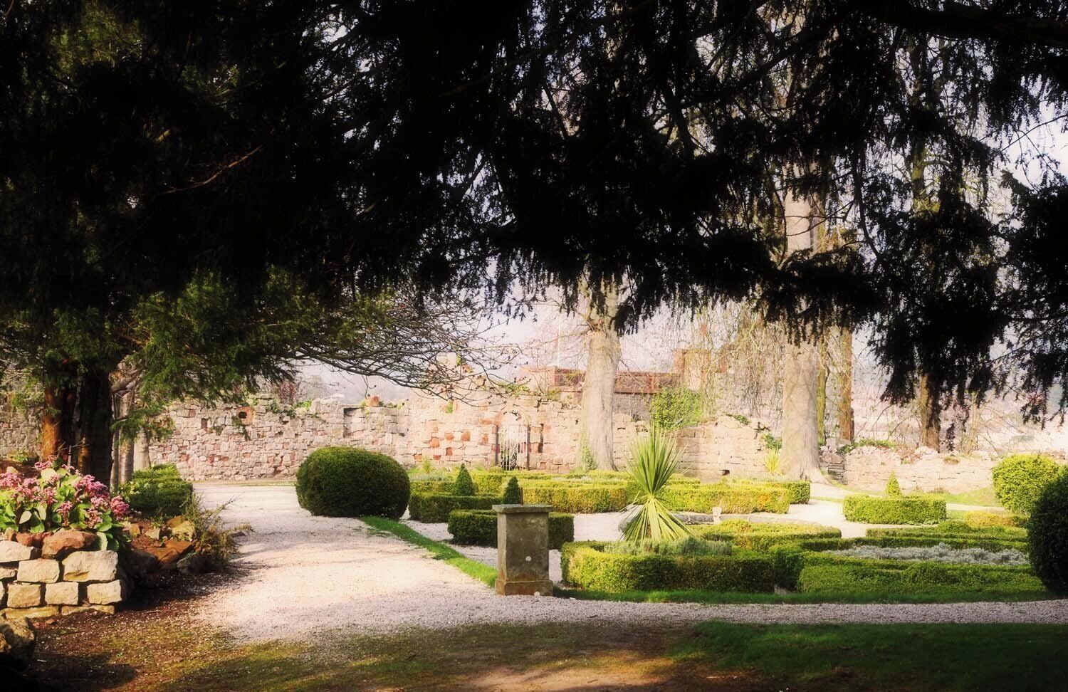 A garden with a stone wall, neatly trimmed hedges, and a variety of plants.