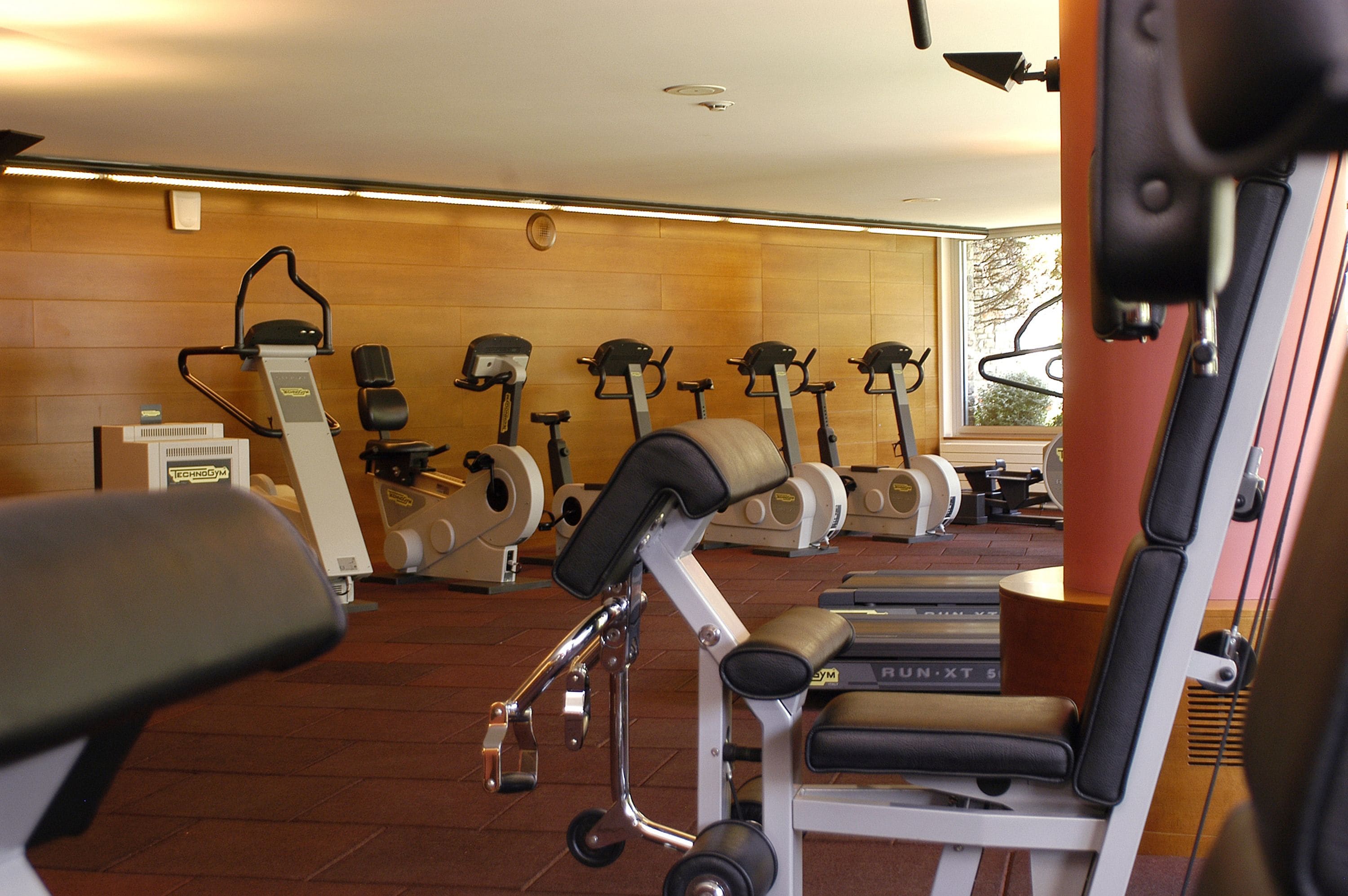 Ein Fitnessstudio mit verschiedenen Trainingsgeräten, darunter Laufbänder und Ergometer, die in Reihen angeordnet sind.