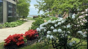 A pathway leading to a building with a green roof, surrounded by lush greenery and flowering shrubs.