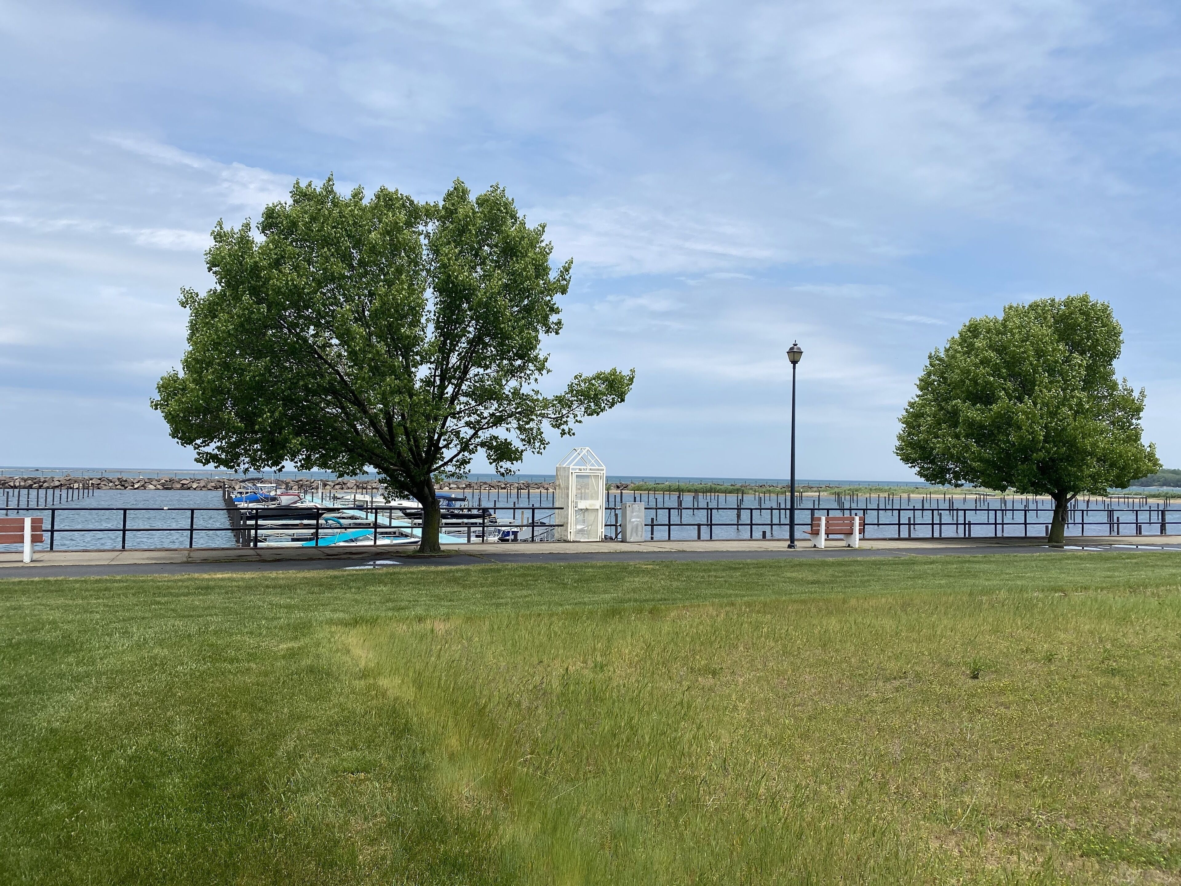 A grassy park area with a large tree, a bench, and a gazebo by a waterfront.