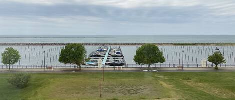 A marina with boats docked, a grassy area, and a view of the water.