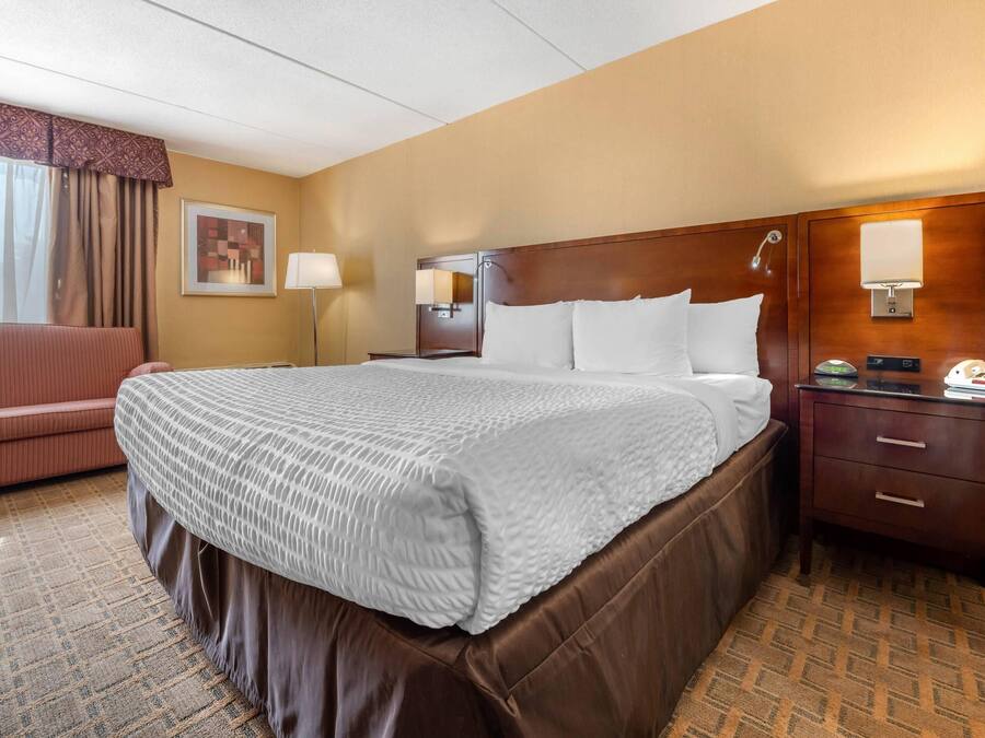 Standard Room, 1 King Bed, Non Smoking | Premium bedding, desk, laptop workspace, blackout curtains