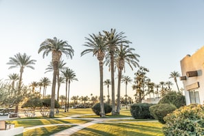 Guests can enjoy a peaceful outdoor space surrounded by palm trees and a well-maintained lawn.