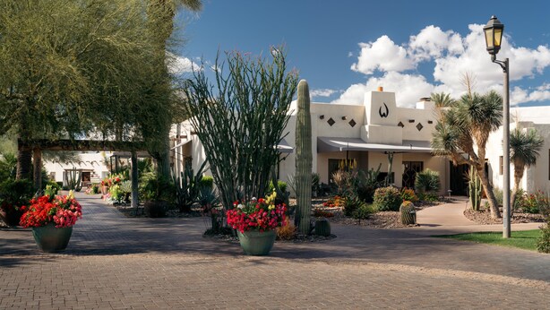 Un patio con un camino empedrado, cactus y plantas con flores.