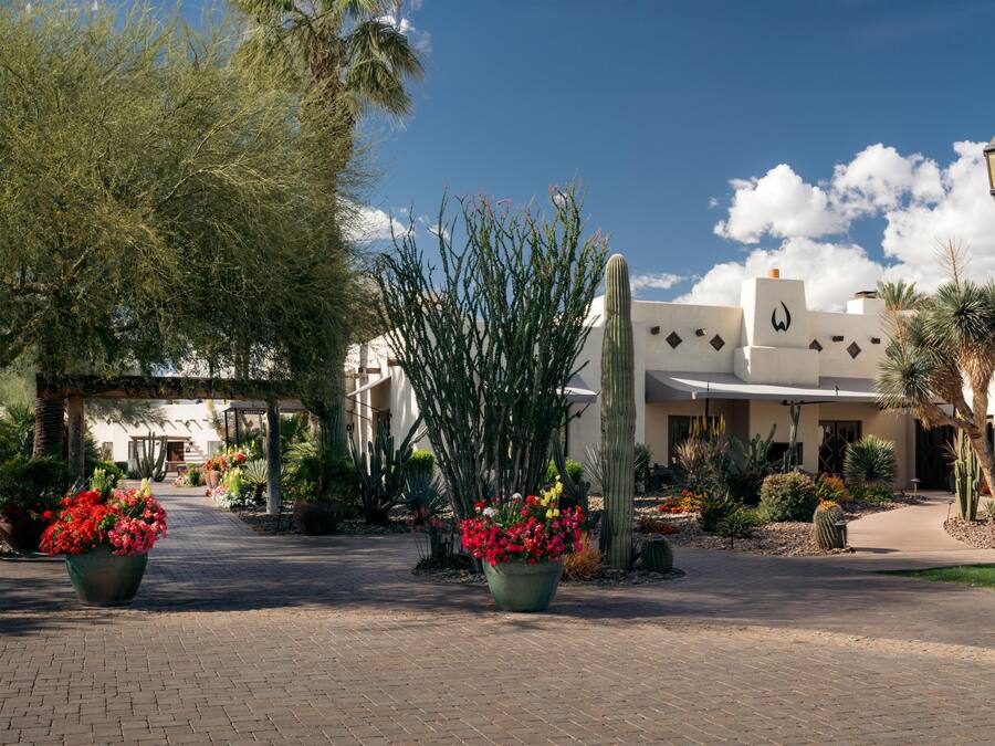 A courtyard with a paved walkway, cacti, and flowering plants.