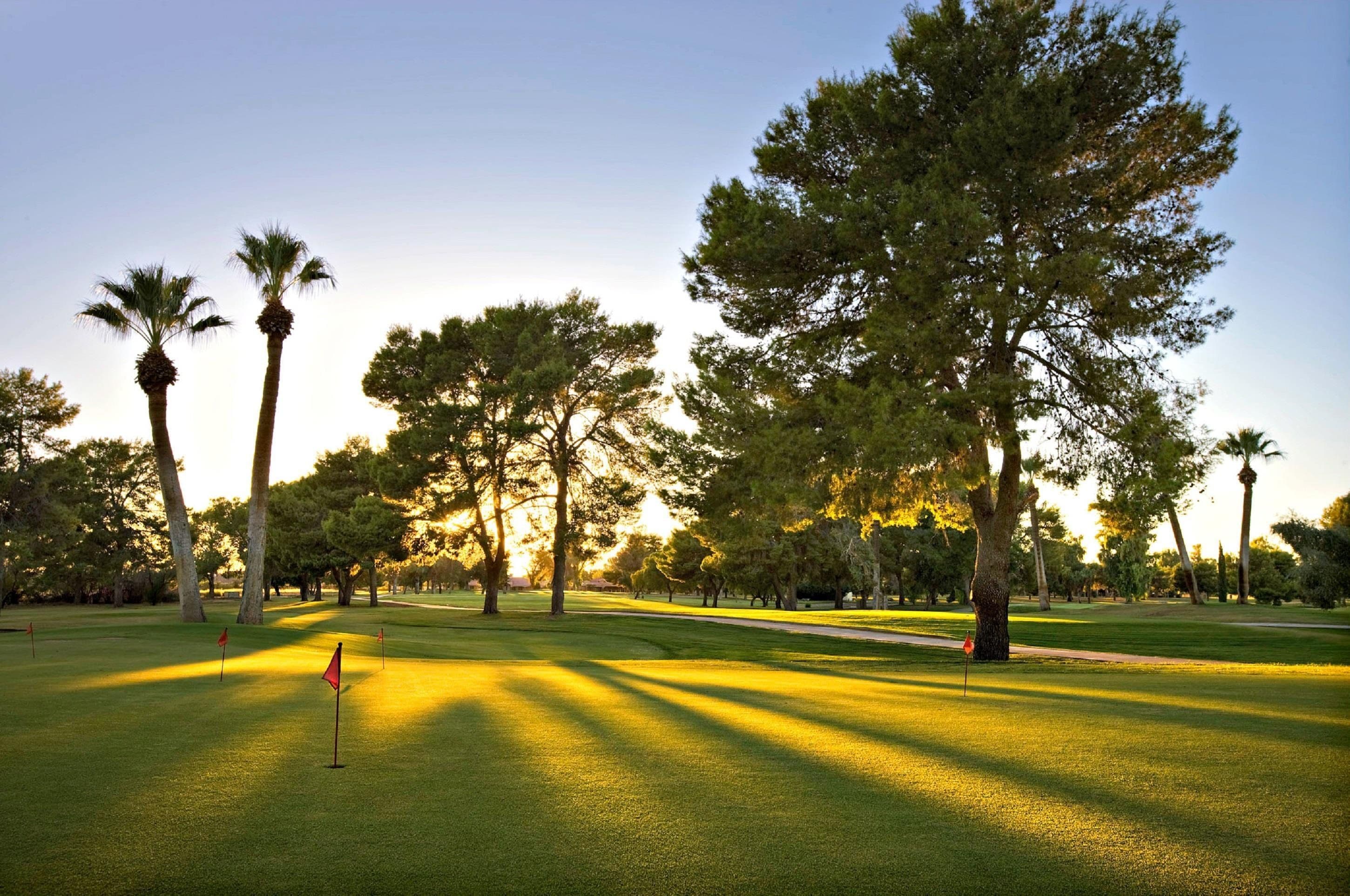 A golf course with a flagstick, trees, and a clear sky.